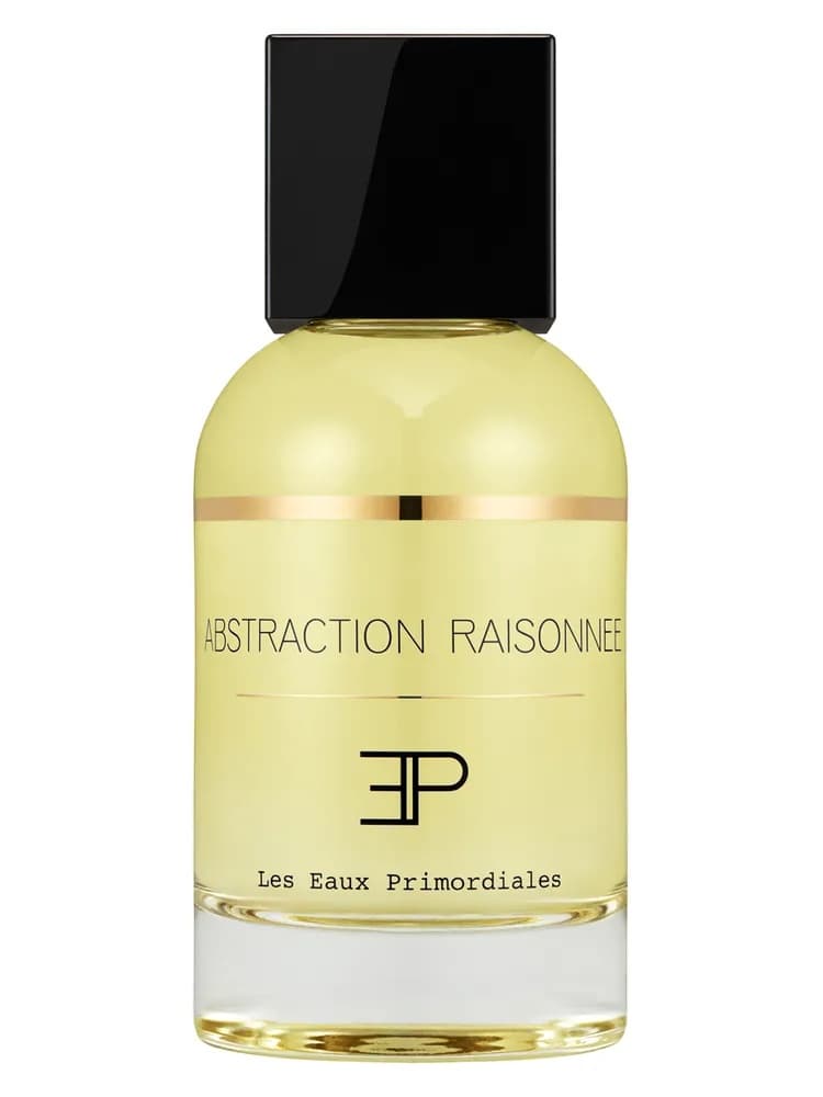 Abstraction Raisonnee