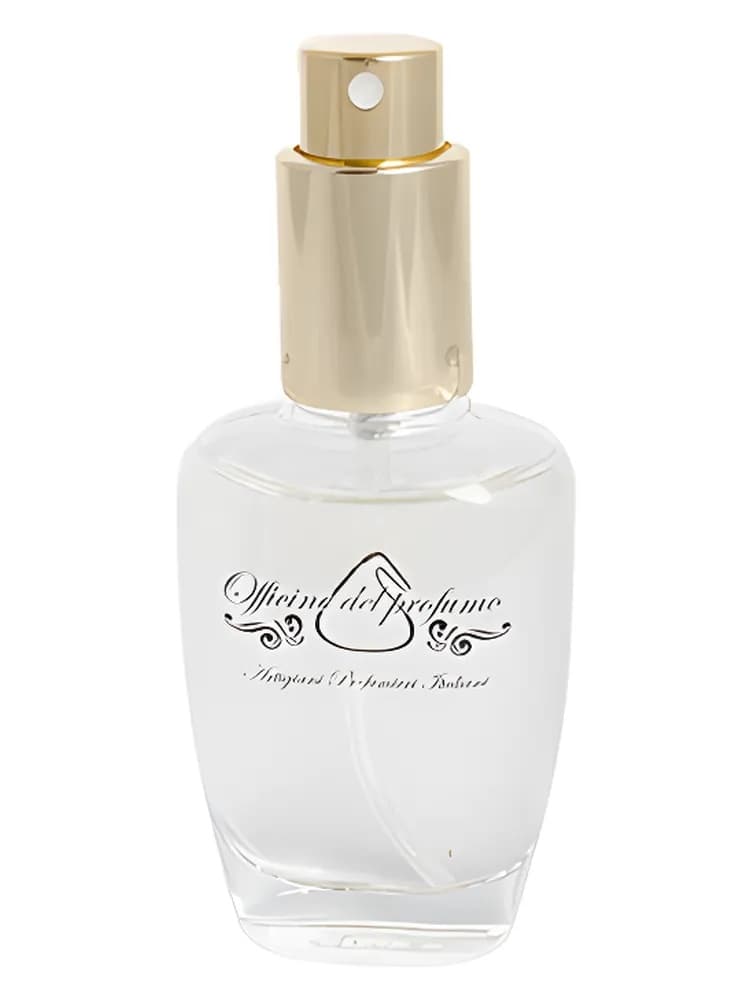 Agrumi Mediterranei