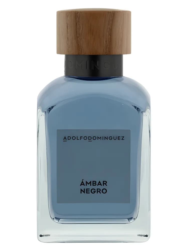 Ámbar Negro