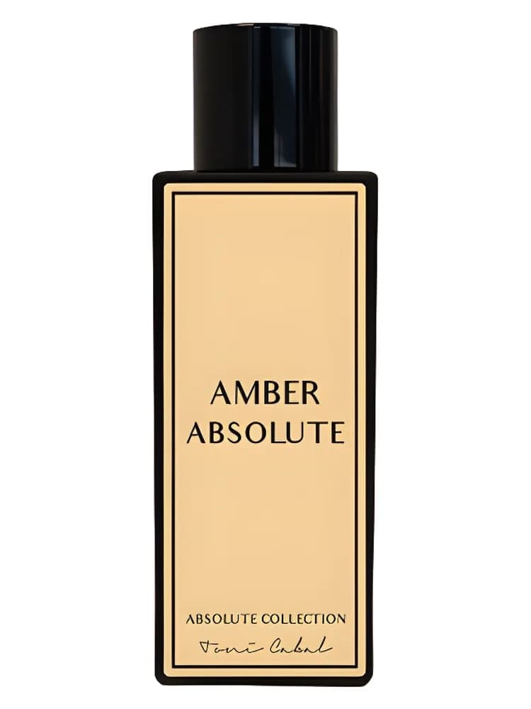 Amber Absolute