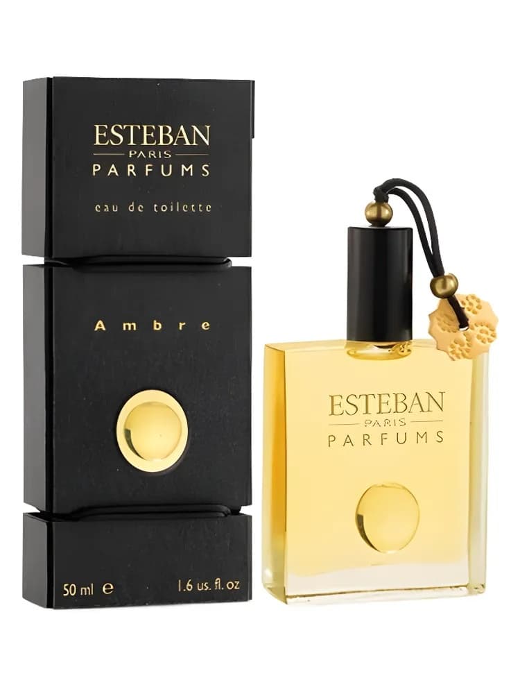 Ambre Estéban