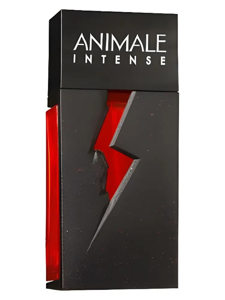 Animale Intense For Men