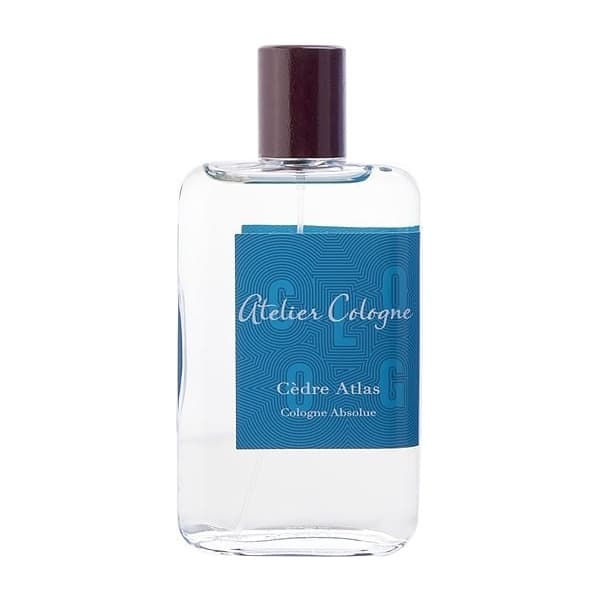 Cèdre Atlas