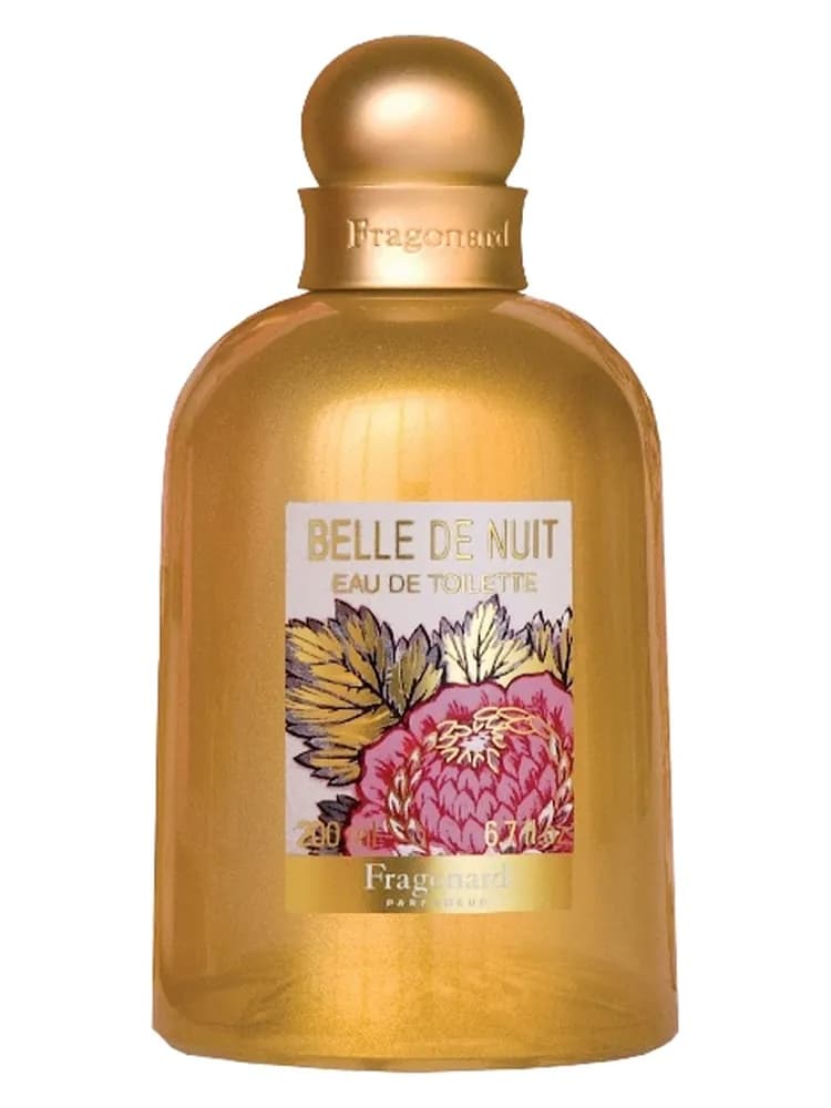 Belle De Nuit