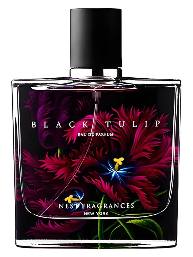 Black Tulip
