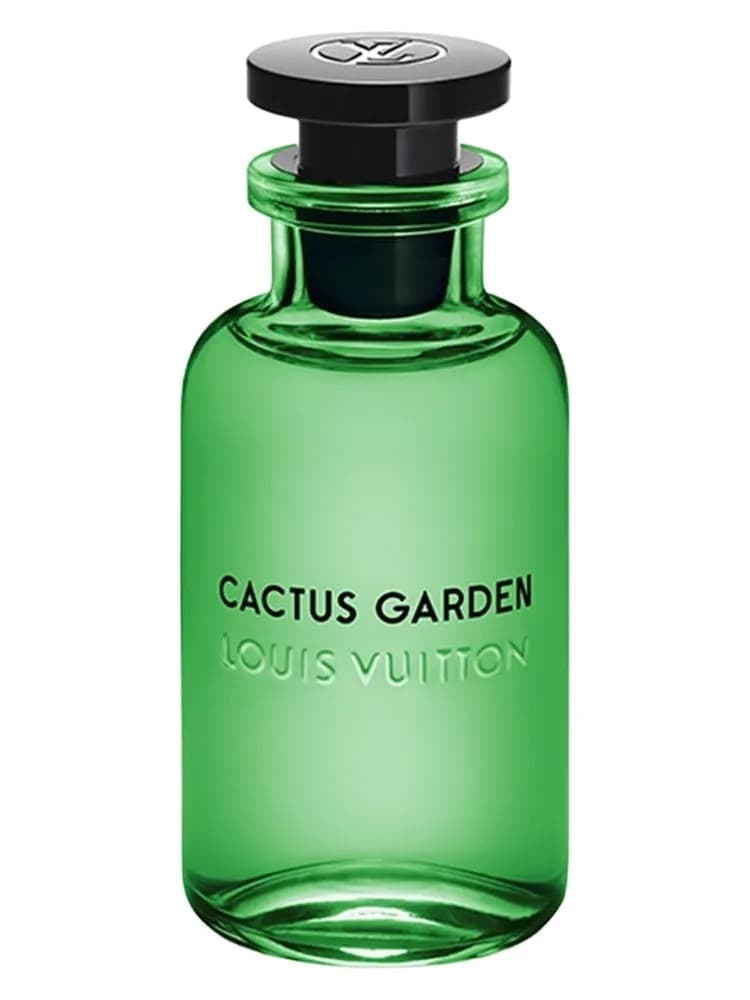 Cactus Garden