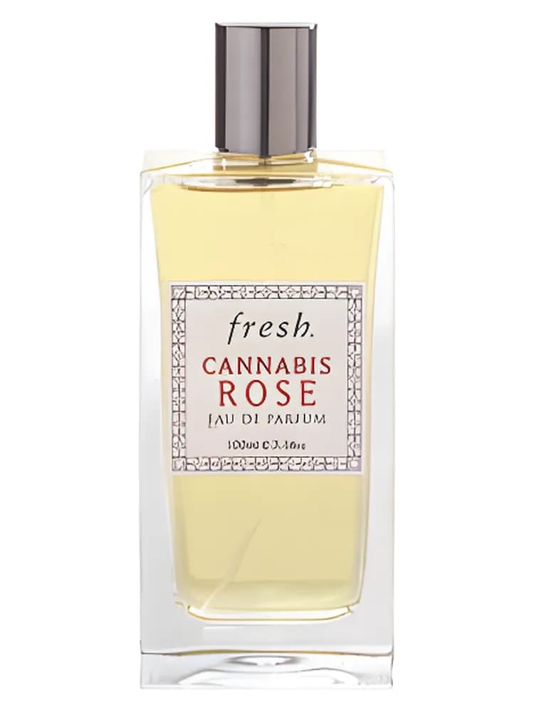 Cannabis Rose