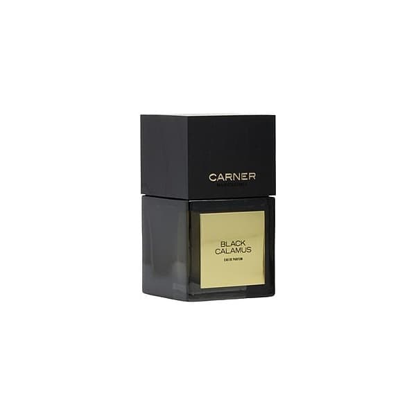Black Calamus