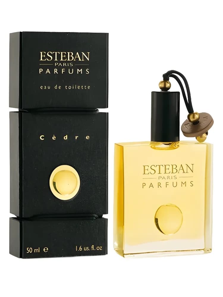 Cèdre