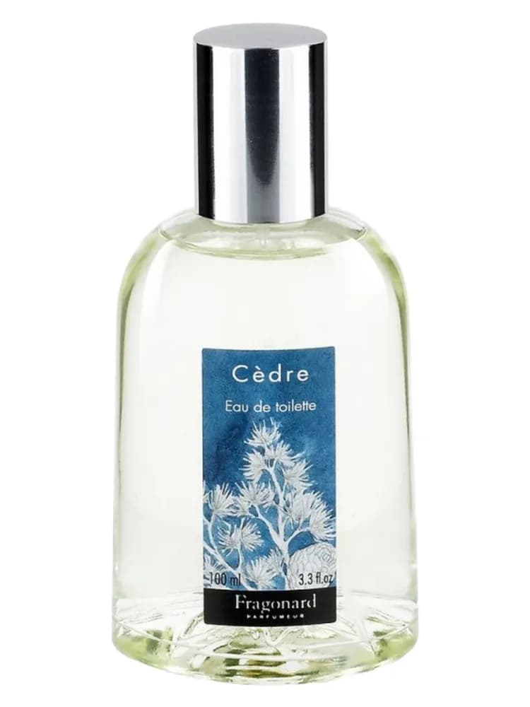 Cèdre