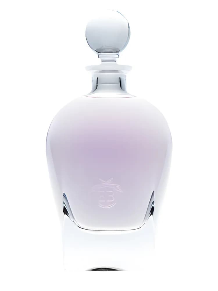 Celestial Jasmine