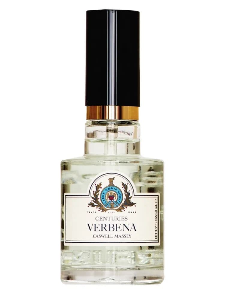 Centuries Verbena