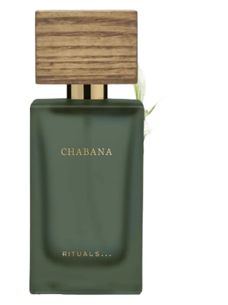 Chabana 2019