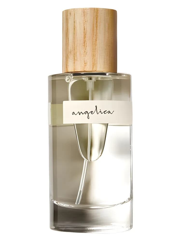 Angelica
