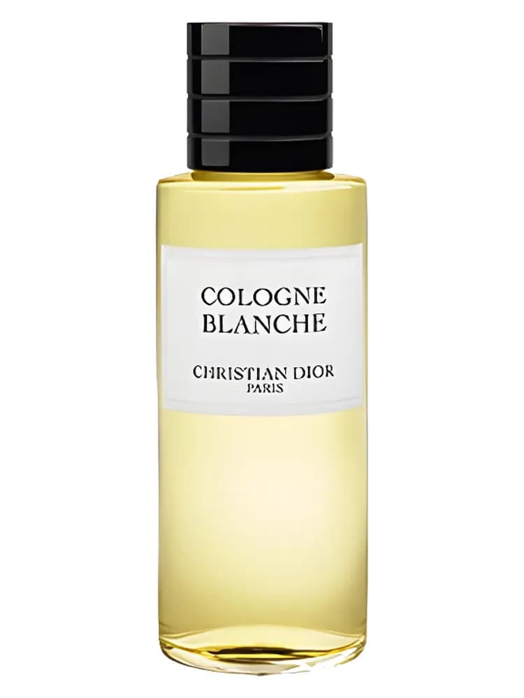 Cologne Blanche 2022