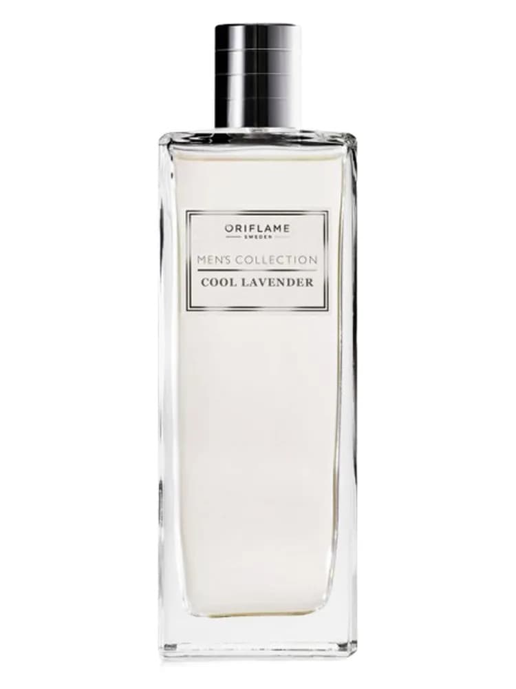 Men'S Collection Cool Lavender