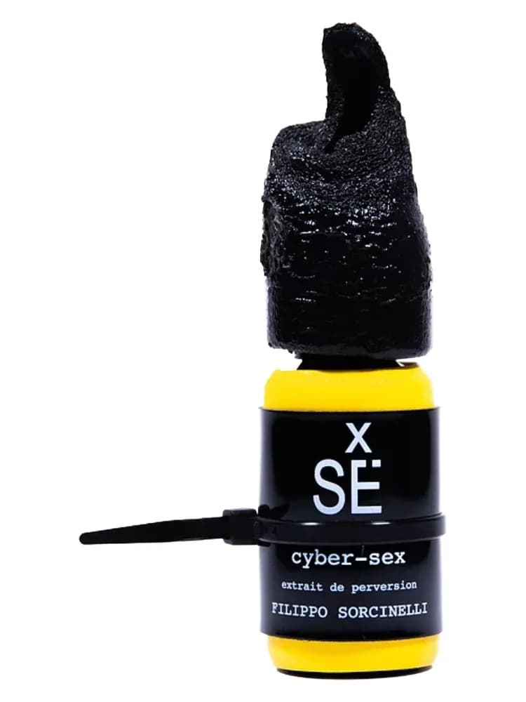 X Sé : Cyber-Sex