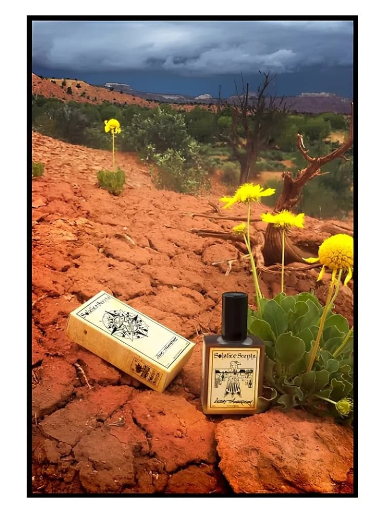 Desert Rose