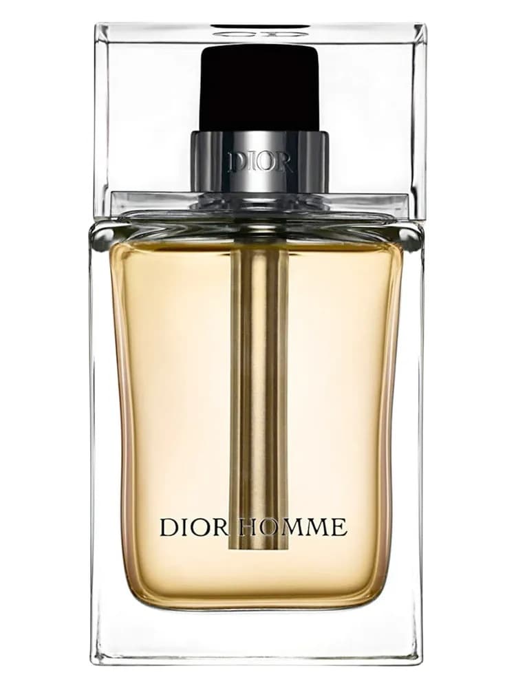 Dior Homme (2005)