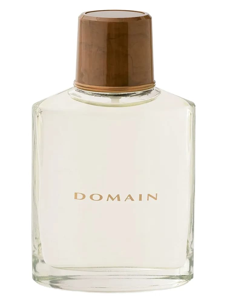 Domain