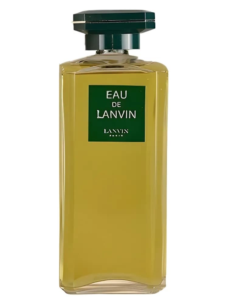 Éclat De Nuit