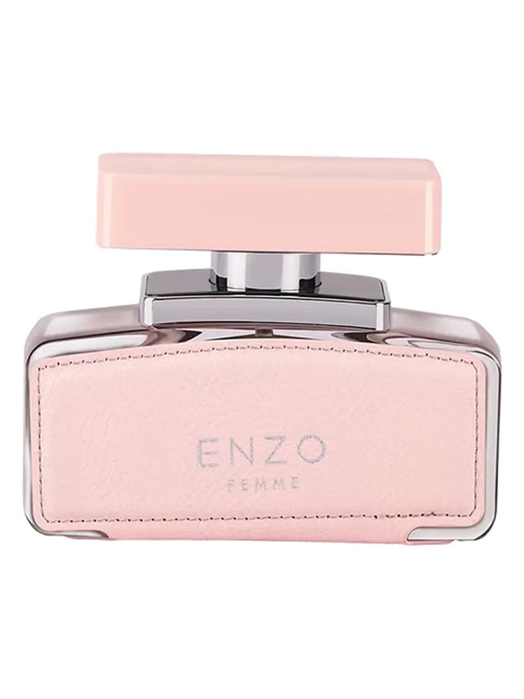 Enzo Femme