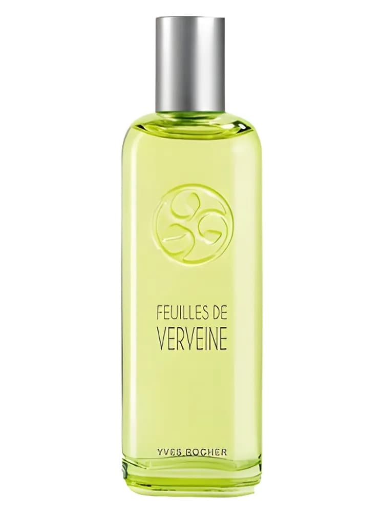Un Matin Au Jardin : Feuilles De Verveine