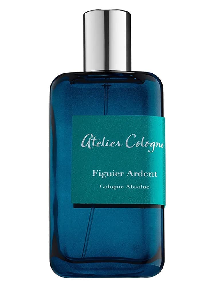 Figuier Ardent