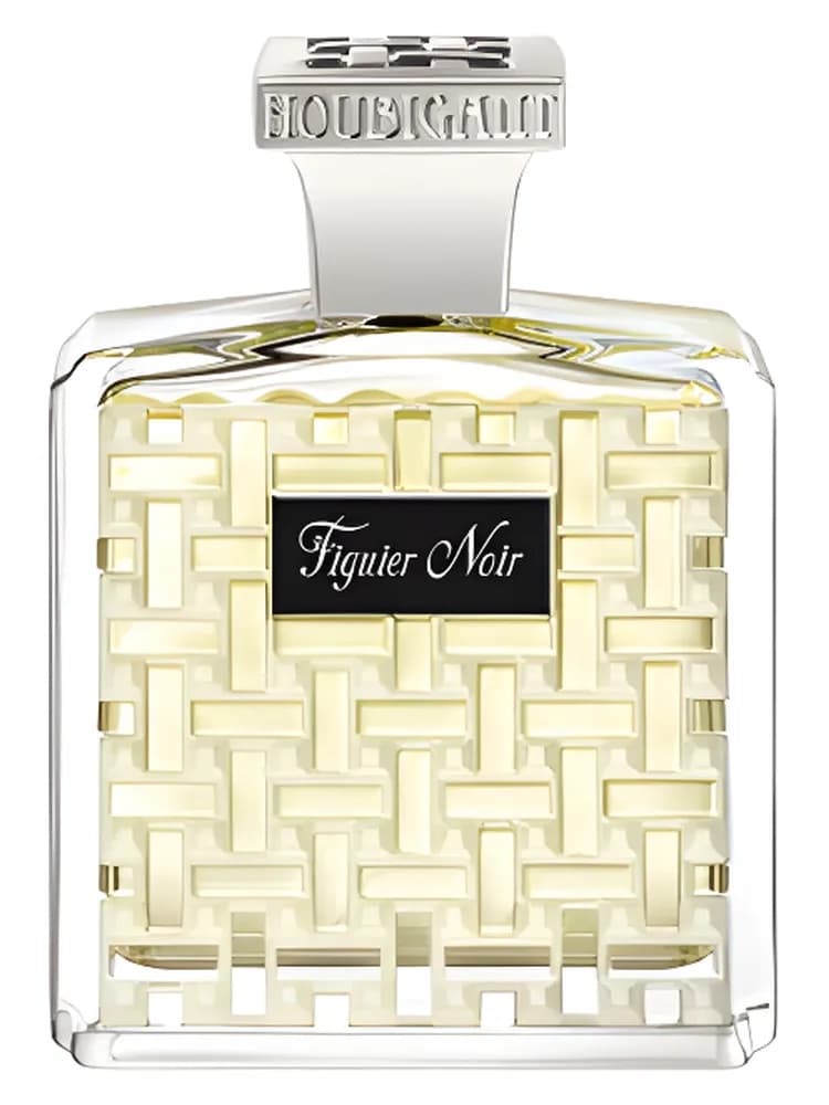 Figuier Noir