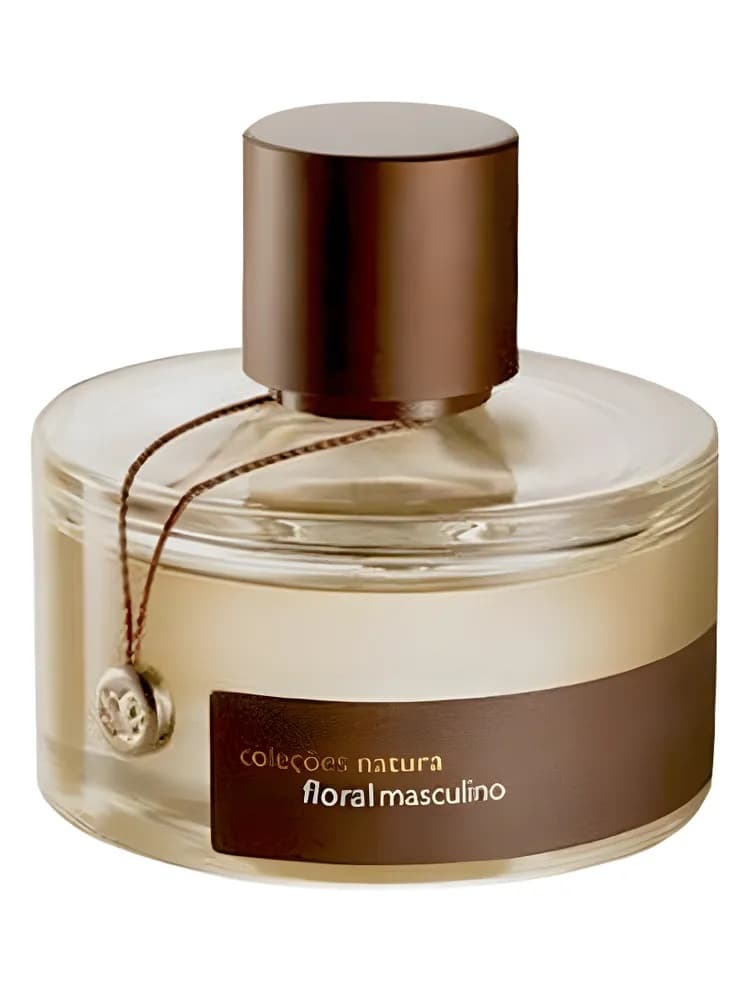 Aventura Masculino