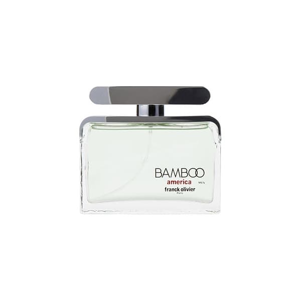 Bamboo America