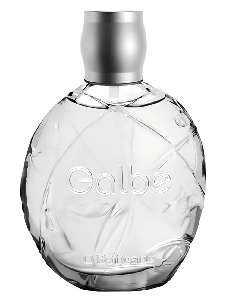 Men Galbe