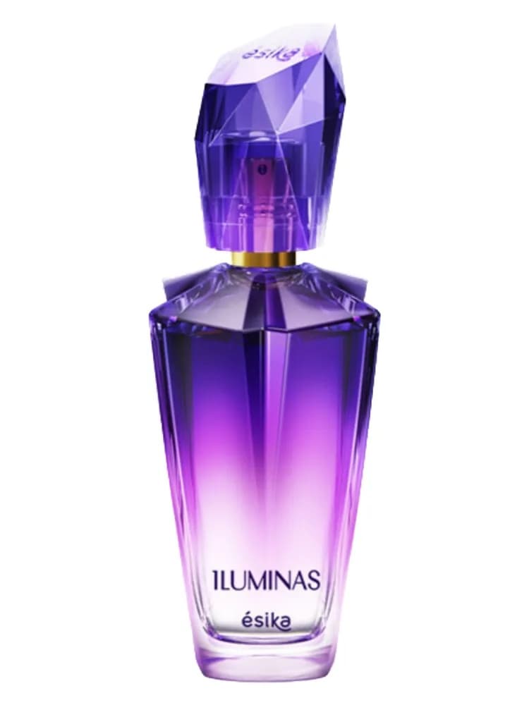 Iluminas Celebration