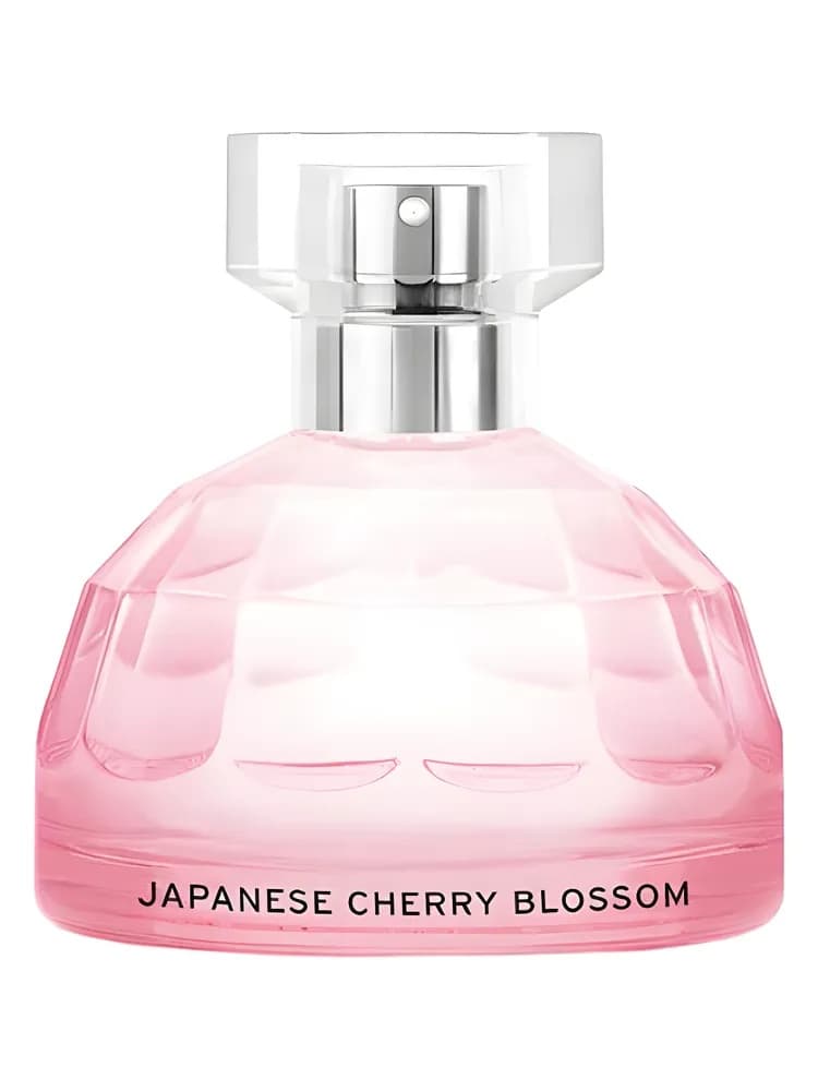 Voyage : Japanese Cherry Blossom