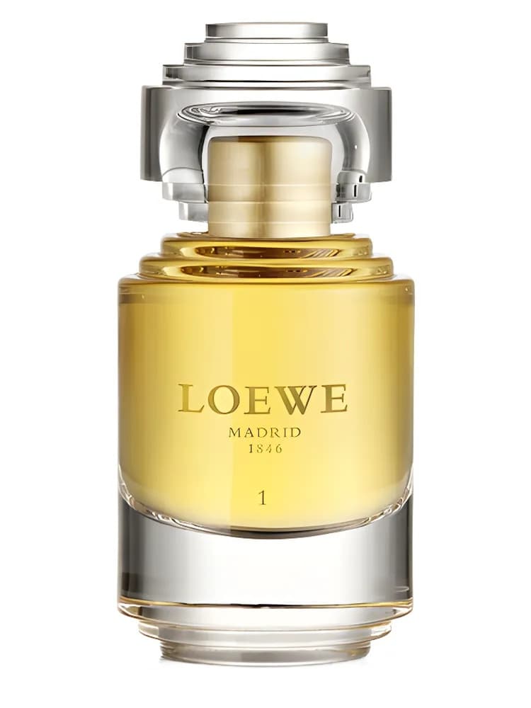 La Colección Loewe Passion 1