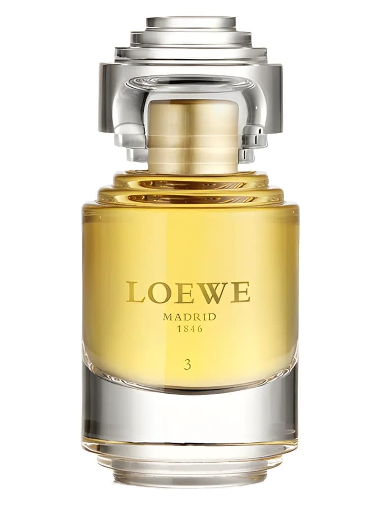La Colección Loewe Desire 3