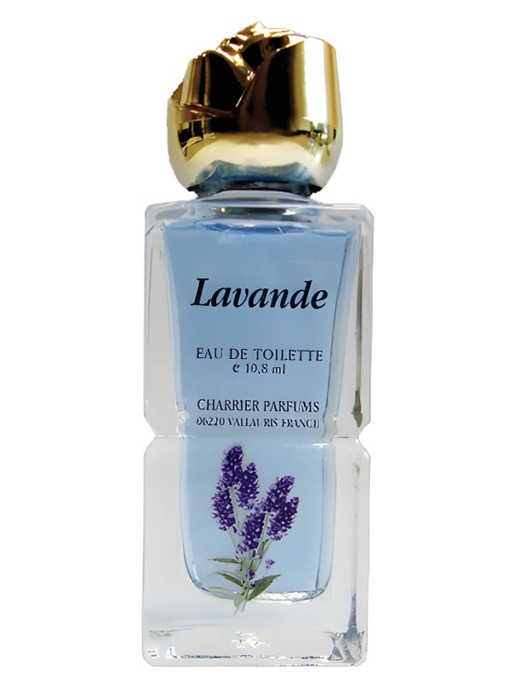 Lavande
