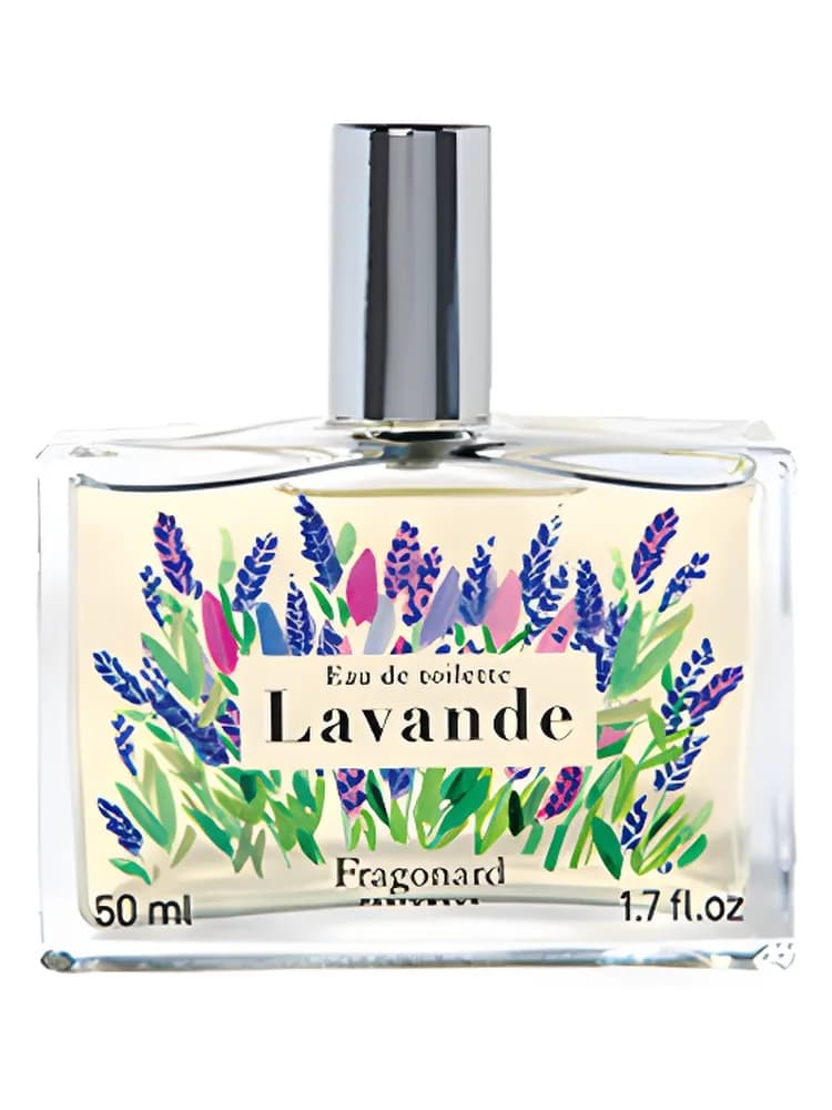 Lavande 2019