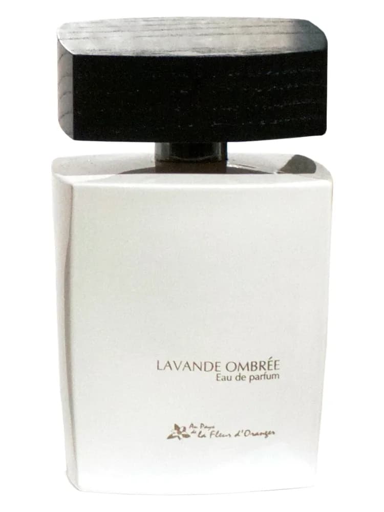 Lavande Ombrée