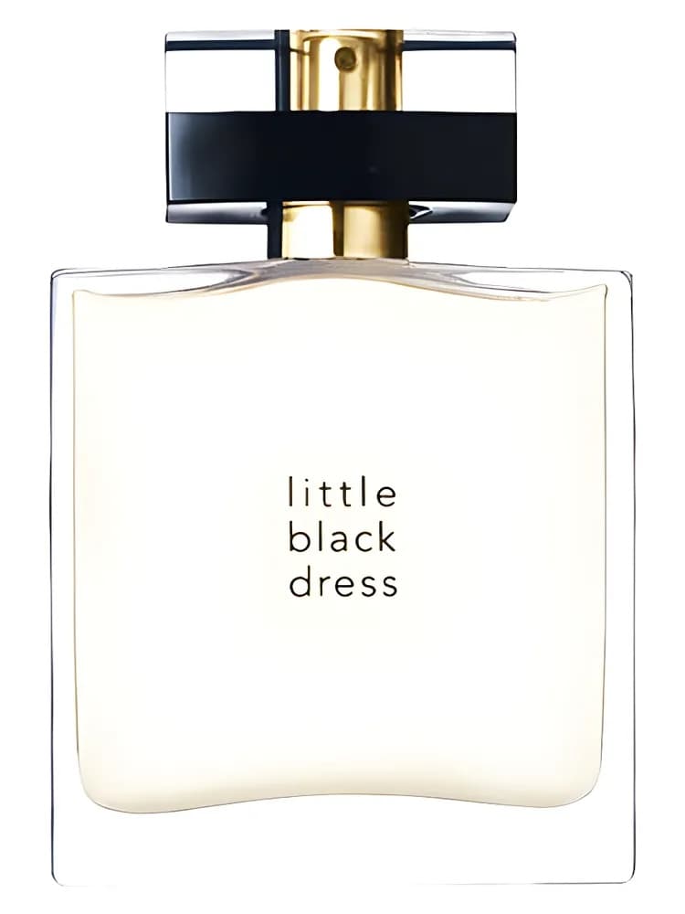 Little Black Dress Black Edition