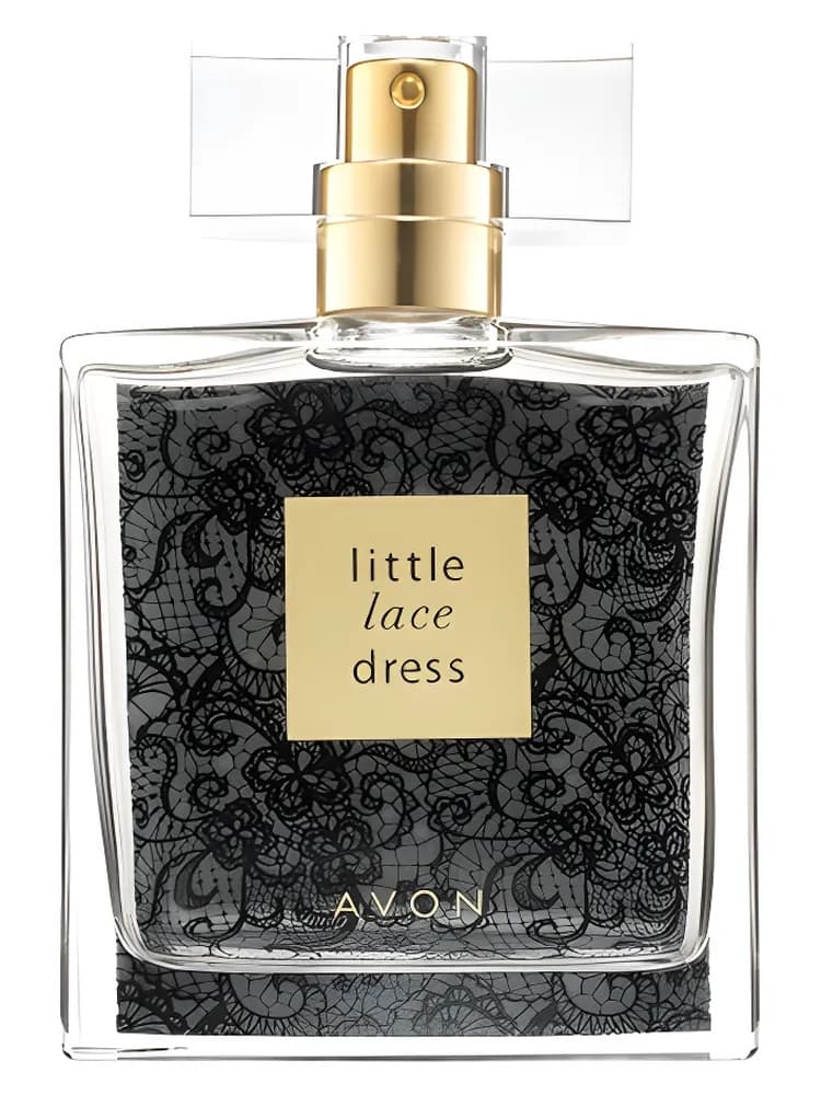 Little Lace Dress