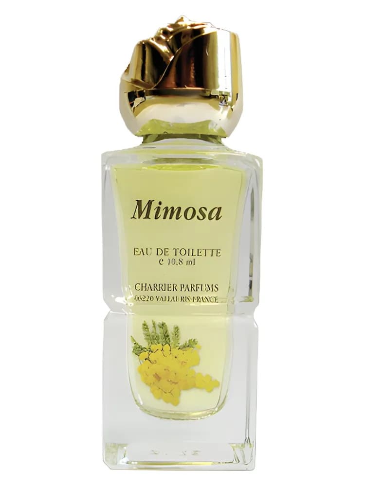 Mimosa