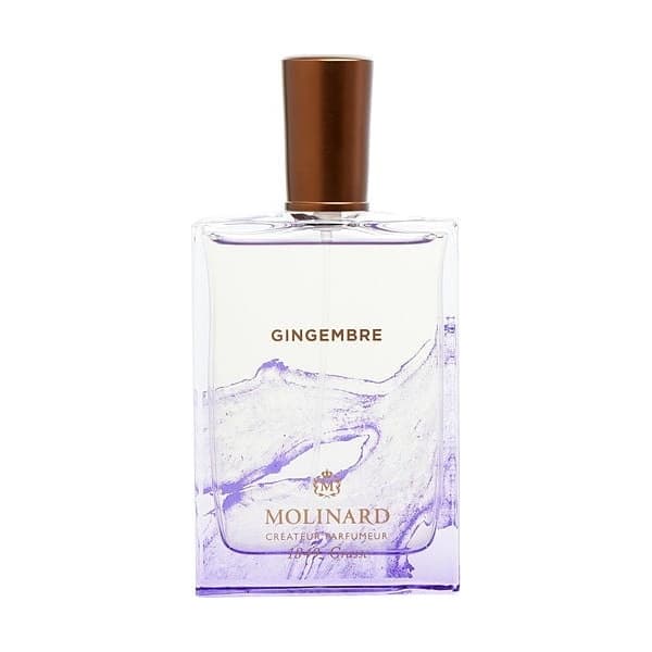 Gingembre