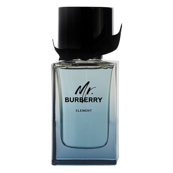 Mr. Burberry Element