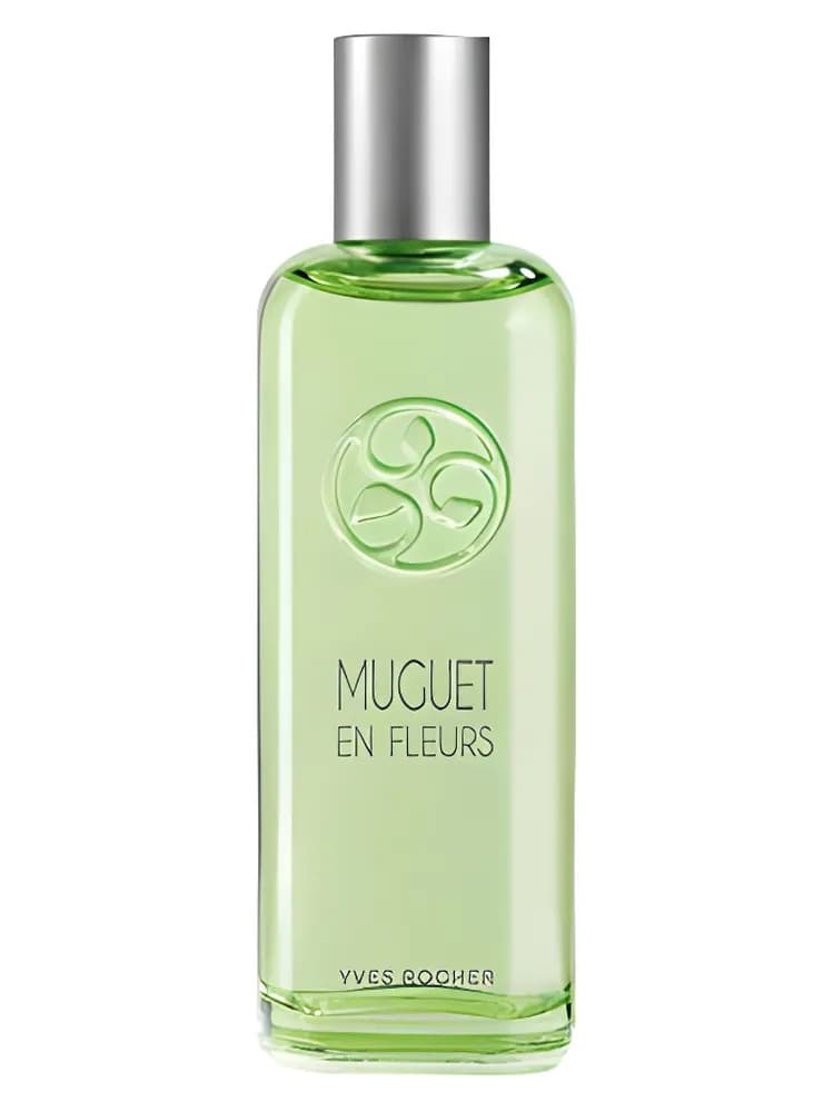 Un Matin Au Jardin : Muguet En Fleurs