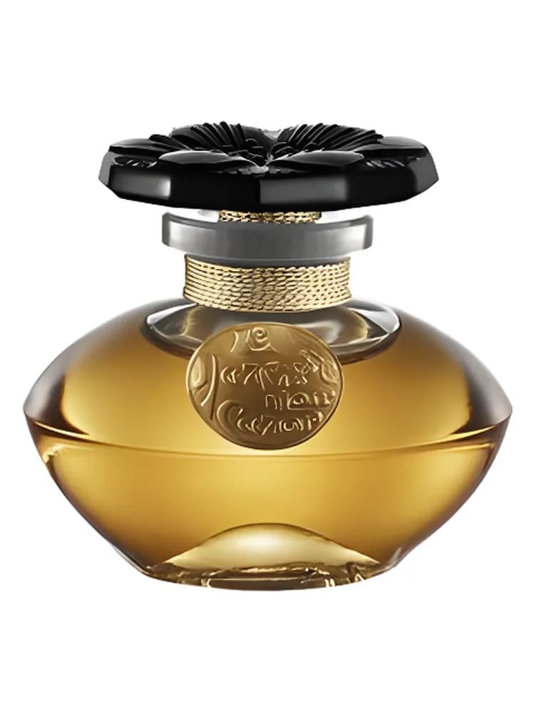 Narcisse Noir