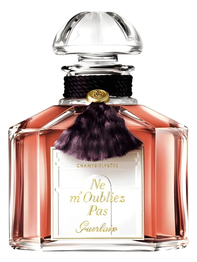 Ne M'Oubliez Pas