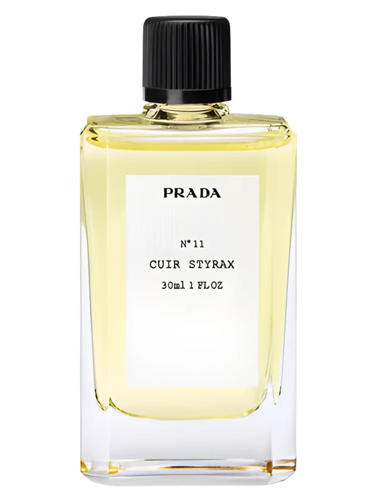 Cuir Styrax Nº 11