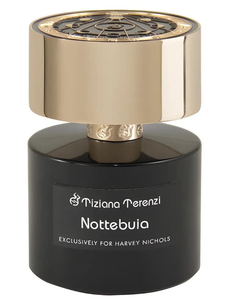 Nottebuia Harvey Nichols Exclusive