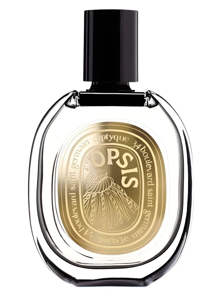 Opsis